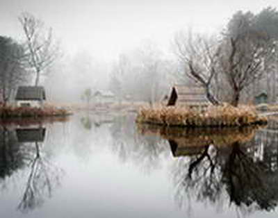 Qanun qadağan edir, amma risk qalır - Qohum nikahlarında gizli təhlükə