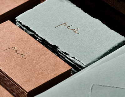 «ТОҶИКИСТОН ВАТАНИ НАВРӮЗ АСТ». Таҳти чунин унвон дар шаҳри Душанбе ҳамоиш баргузор гардид