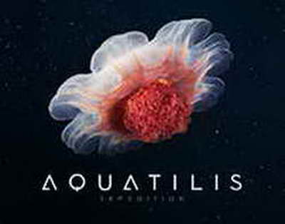 Bakıda 42 yolda hərəkət qismən məhdudlaşdırılır